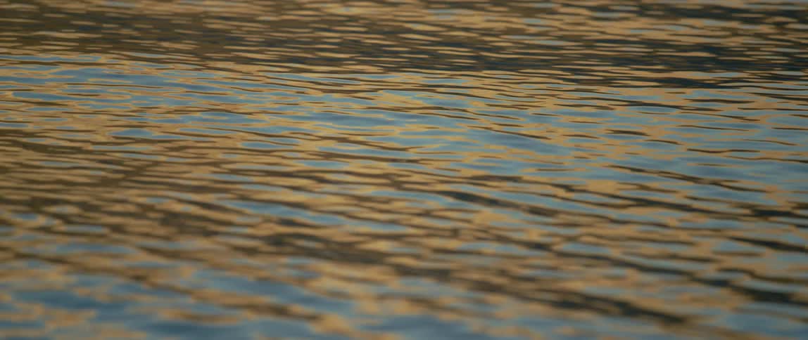 Water ripples and flows on a river