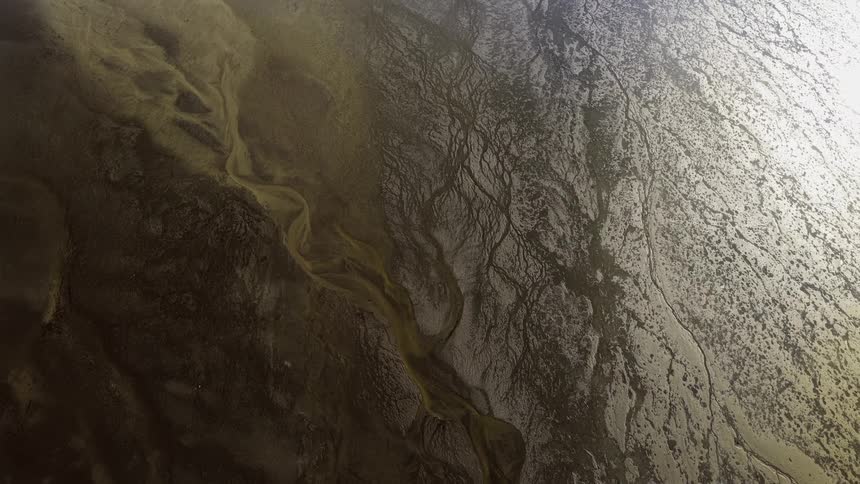 An abstract top-down aerial view of a river delta with intricate water channels branching out like veins across the muddy landscape
