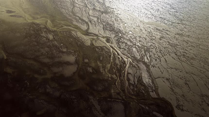 A mesmerizing cinemagraph captures the intricate, vein-like patterns of a vast, dark river delta from an aerial perspective