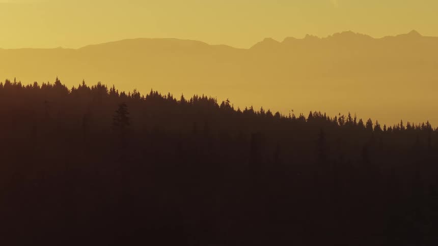 A beautiful hazy golden sunrise illuminates the silhouetted layers of a mountain forest landscape