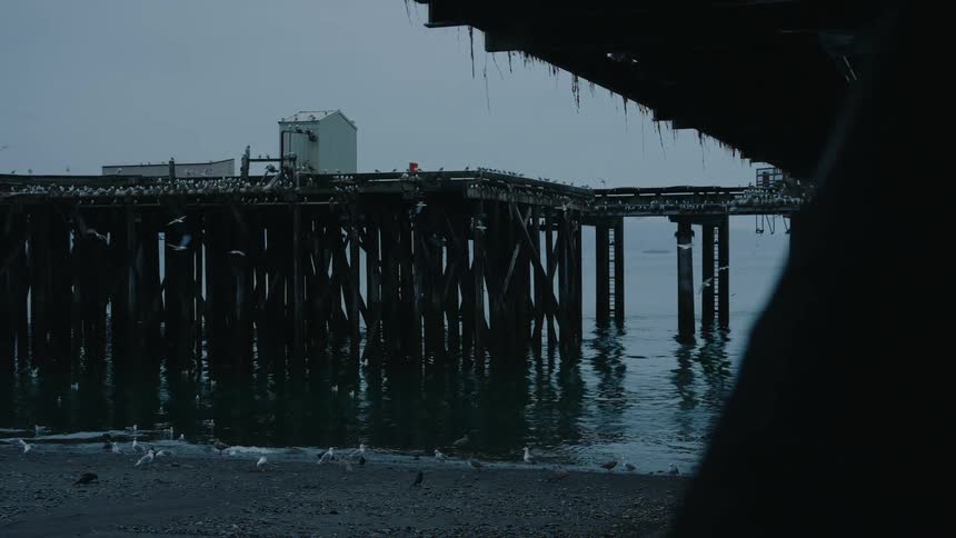 Seagulls fly in slow motion around a weathered wooden pier on a moody, overcast day, viewed from under a dark structure