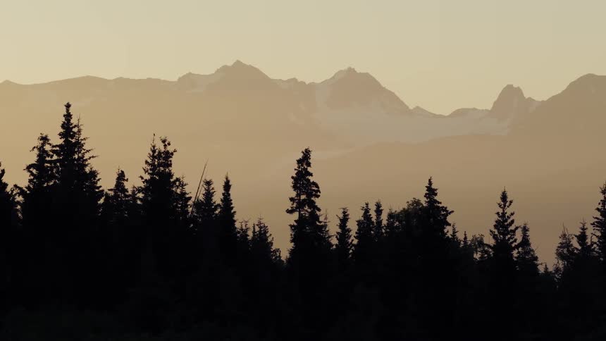 A slow pan across silhouetted pine trees reveals a majestic, snow-capped mountain range during a hazy golden sunset
