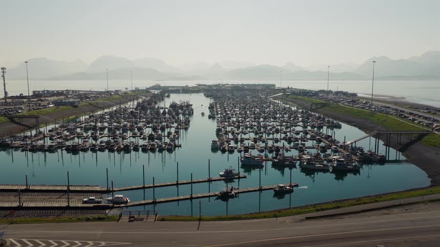 A wide scenic view shows a massive boat harbor crowded with vessels on a calm, hazy day with distant mountains on the horizon