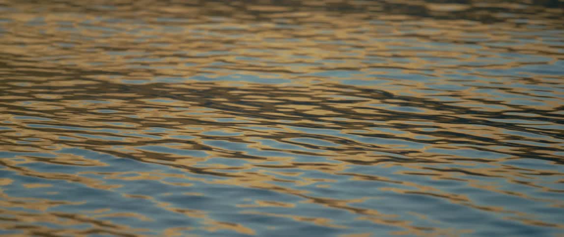 Water ripples and flows on a lake