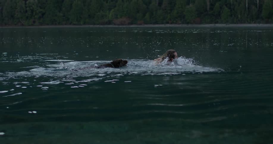 A man swims with a dog in a lake