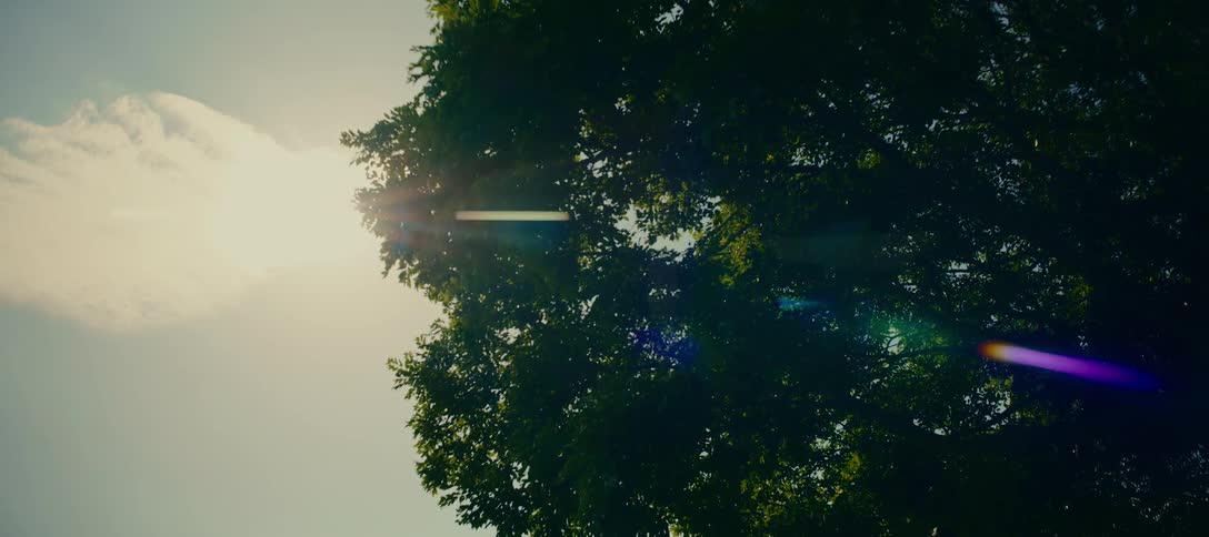 A vertical shot looking up at the bright sun flaring from behind a lush green tree