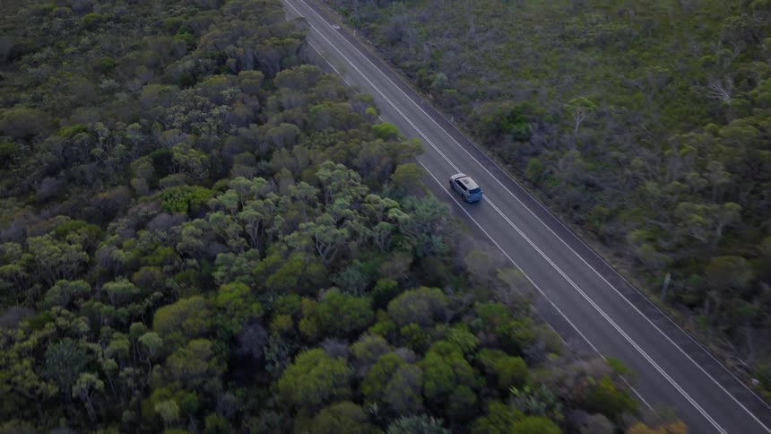 Aerial view following a car as it travels down a winding road through a dense, lush green forest