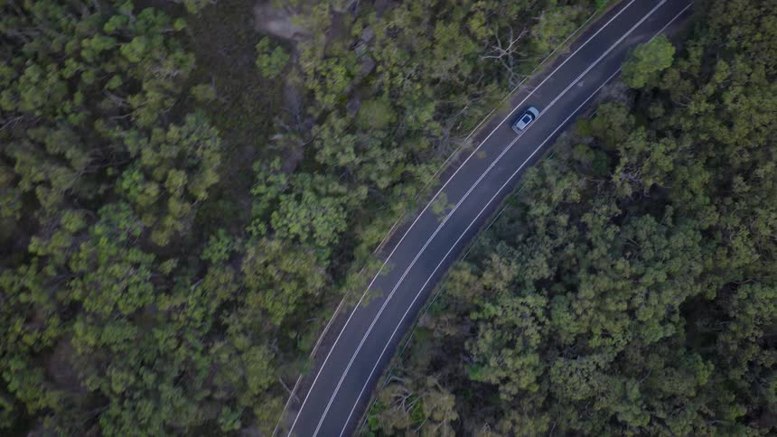 Aerial top-down drone shot following a car as it drives along a winding road through a dense green forest