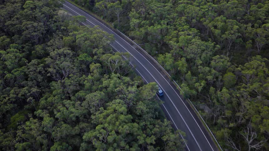 A high-angle drone shot follows a car as it travels along a winding road through a dense, lush green forest