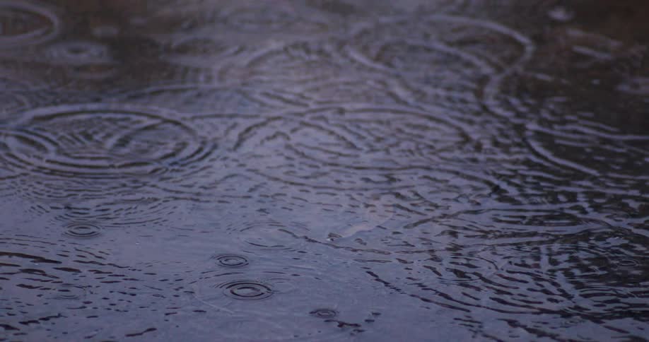 Raindrops fall in slow motion onto the surface of a puddle, creating beautiful expanding ripples
