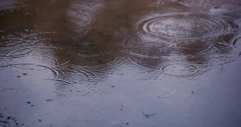 Rain begins to fall into a still puddle, creating expanding ripples on the reflective water surface