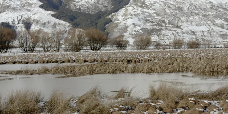 A lake is surrounded by snowy grass and mountains