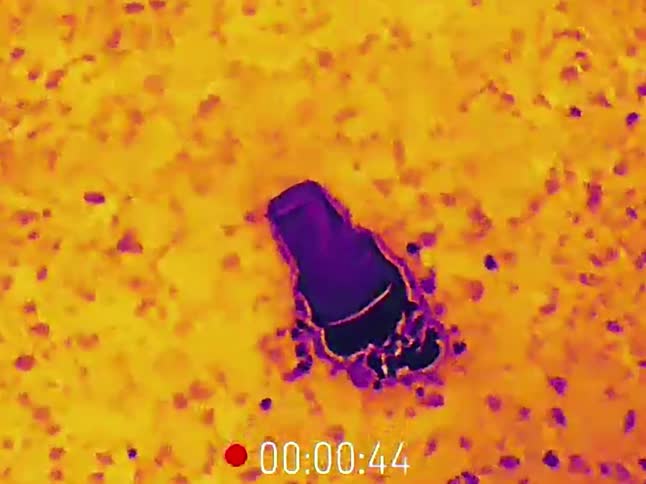 Thermal imaging captures a cold footprint being left by a boot on a warm surface