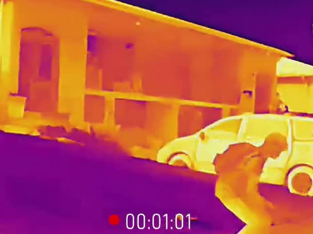 Thermal camera footage captures a person with a backpack walking down a street at night and stopping to interact with a small animal