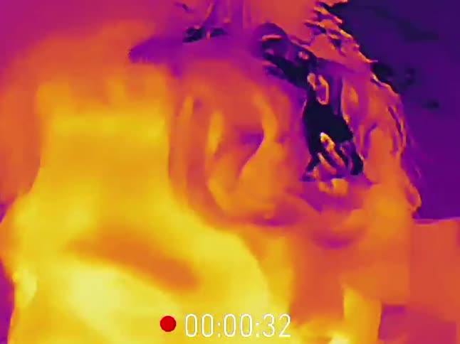 A father holds his baby and shows them a small chick through the lens of a thermal imaging camera