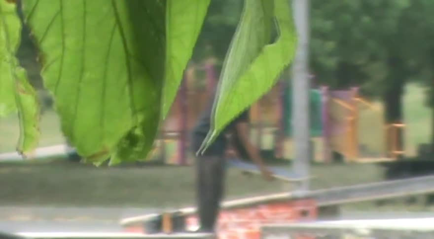 A dreamy soft-focus shot of a young man with a skateboard at a skate park, seen through swaying green leaves in the foreground