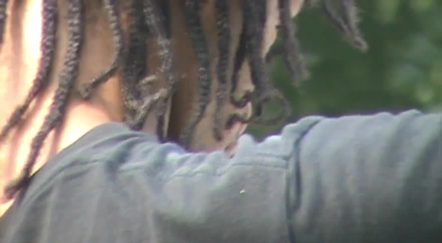A dreamy close-up from behind shows a person with dreadlocks running their hands through their hair outdoors