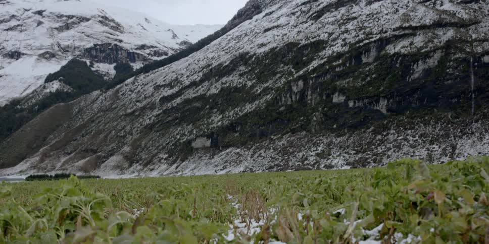 Snow lightly covers plants in a field and mountains in the distance