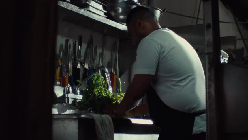 In slow motion, a male chef carefully washes a large bunch of fresh parsley in a stainless steel sink in a professional restaurant kitchen