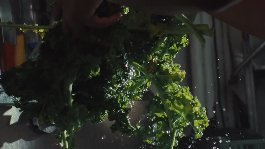 Close up of a chef washing fresh kale in a professional kitchen sink in dramatic slow motion