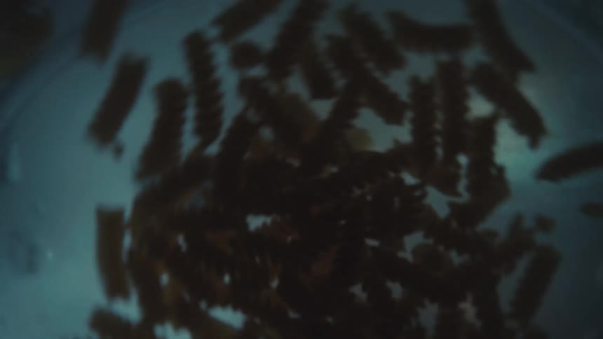 A slow-motion, abstract, out-of-focus shot from inside a pot as fusilli pasta is poured into boiling water