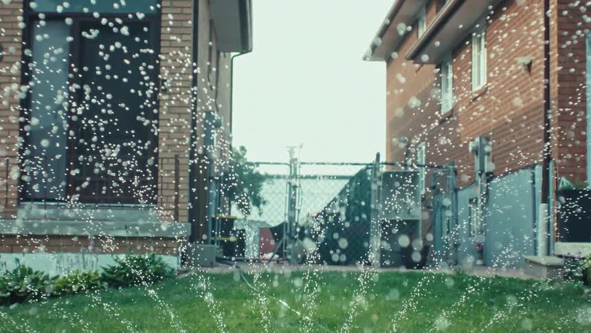 A slow-motion close-up of a lawn sprinkler watering the grass between two suburban brick homes