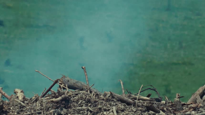 Close-up of a smoldering brush pile with smoke rising against a soft-focus green meadow