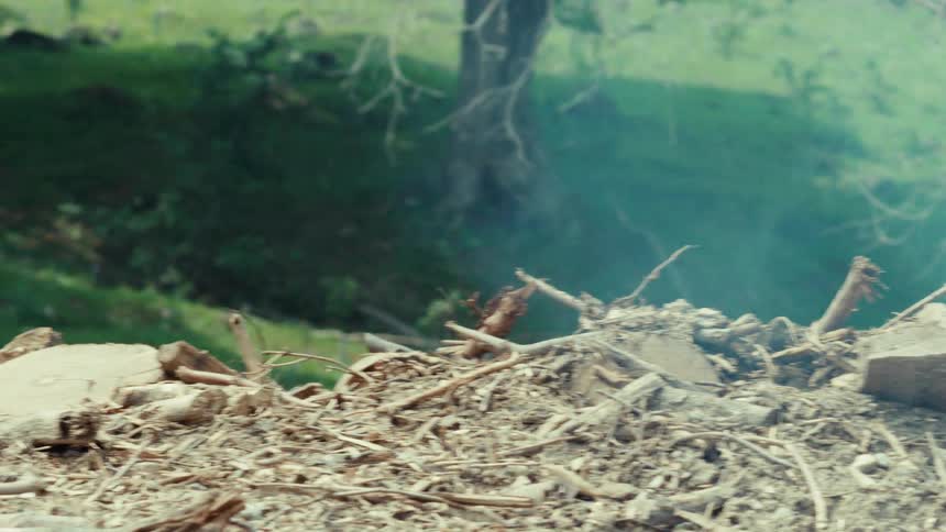 A close-up view of a large tree stump on a pile of debris with smoke gently rising in the background of a deforested area