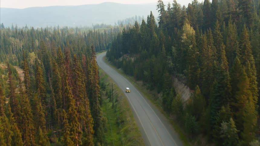 Aerial view follows a yellow van driving along a remote, winding road through a dense evergreen forest at sunrise