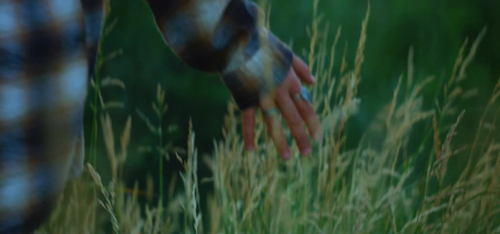 Close-up in slow motion of a person's hand wearing rings as they brush it through a field of tall green grass