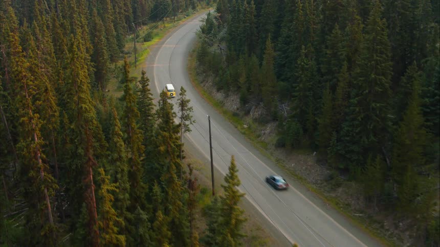 From above, a classic yellow van travels along a winding paved road through a vast and beautiful pine forest