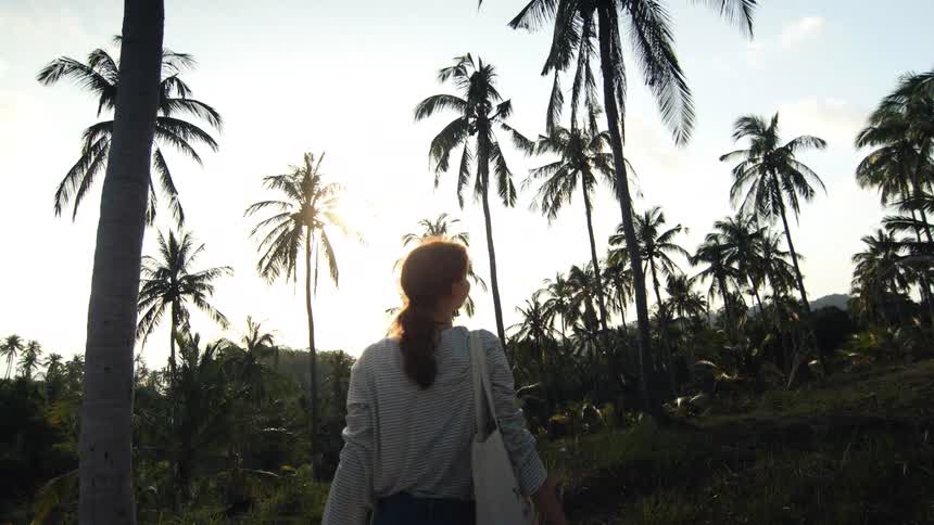 A woman from behind raises her arms in slow motion, embracing the tropical sunset among a lush forest of palm trees