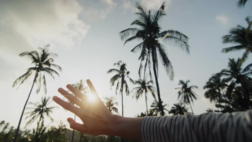 A person's hand reaches up towards the sky, letting the warm sunlight shine through their fingers in a tropical palm tree grove
