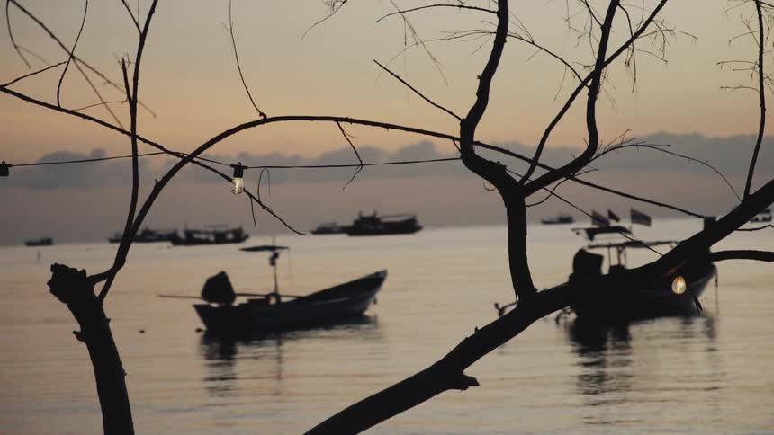 A single light bulb illuminates silhouetted tree branches against a backdrop of fishing boats on a tranquil sea at dusk