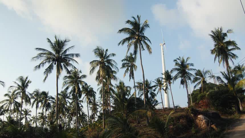 A static shot shows a wind turbine providing green energy, surrounded by tall palm trees against a blue sky
