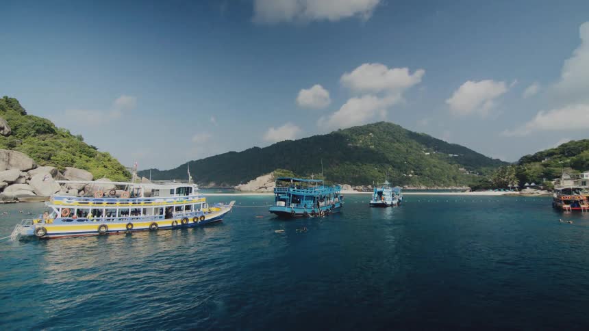Colorful tour boats are anchored in a tranquil tropical bay as tourists swim in the clear blue water near a lush island