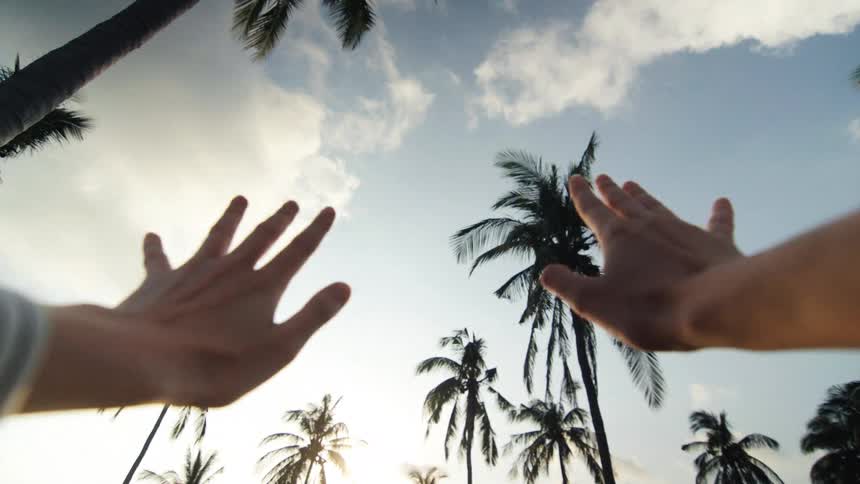 A dreamy first-person perspective of hands reaching towards the sky through silhouetted palm trees