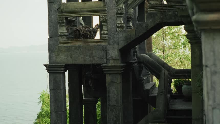 A slow upward pan reveals the intricate stone carvings and faces of an ancient temple reclaimed by the lush jungle