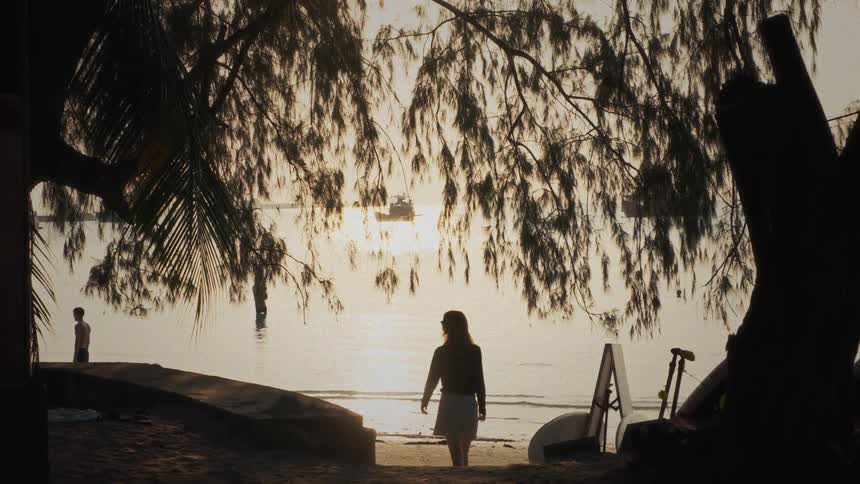 A silhouetted woman walks from under the trees onto a sandy beach to watch the golden sunset over the ocean