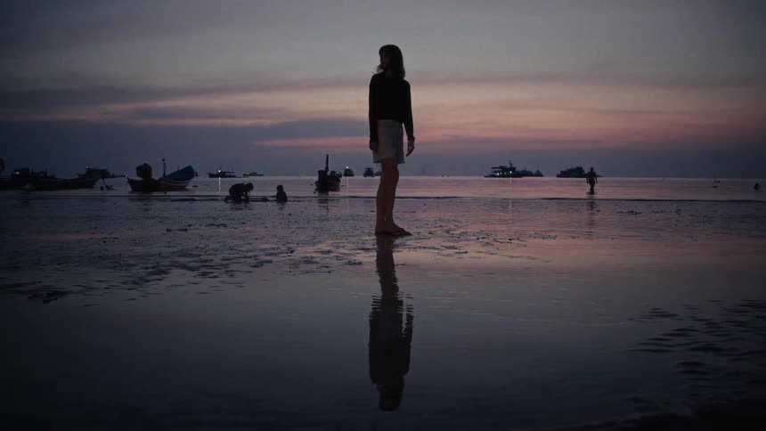 A silhouetted woman walks along a reflective beach during a beautiful and serene pastel-colored sunset