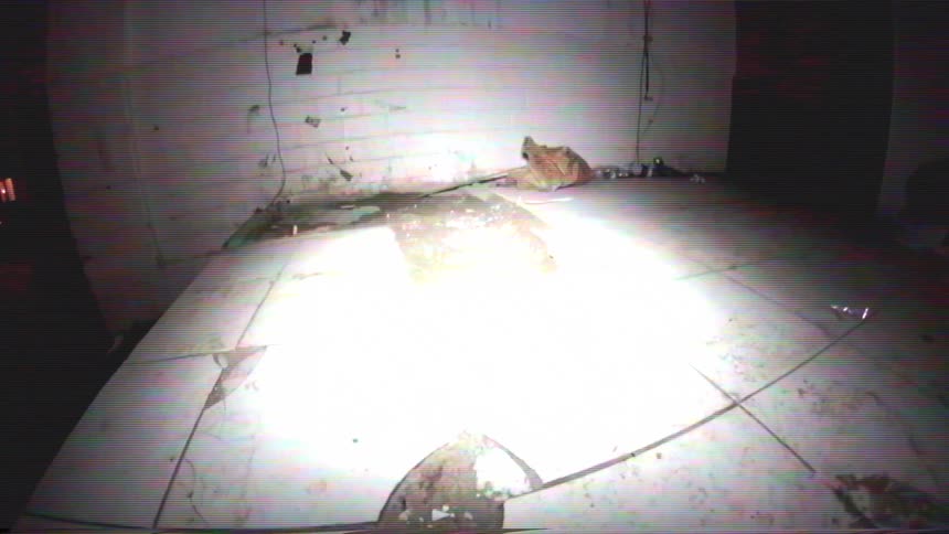 A skateboarder performs a wallride trick in a derelict urban spot at night and falls in slow motion, shot in a retro VHS style