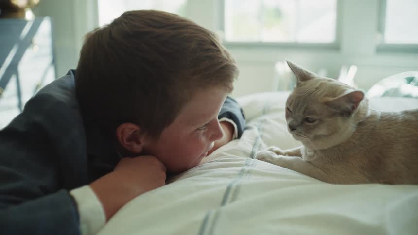 A young boy in a suit and his pet cat share a quiet, tender moment while looking at each other on a sunlit bed