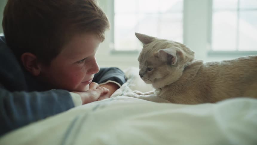 A young boy lies face to face with his pet cat on a bed in a brightly lit room