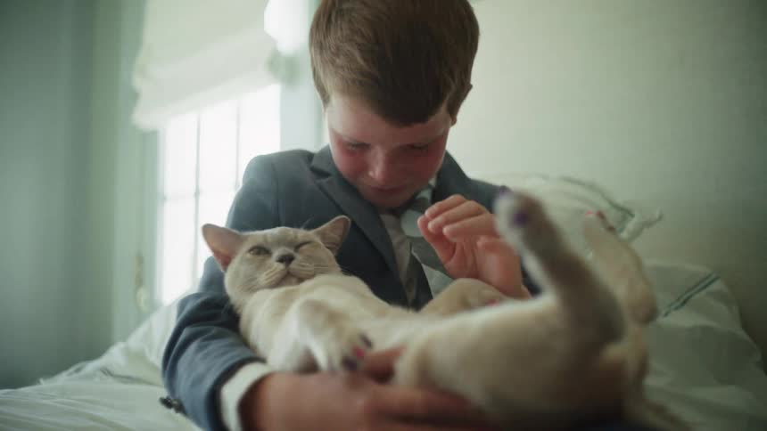 A heartwarming slow-motion close-up shows a well-dressed boy lovingly petting his pampered cat with colorful claws