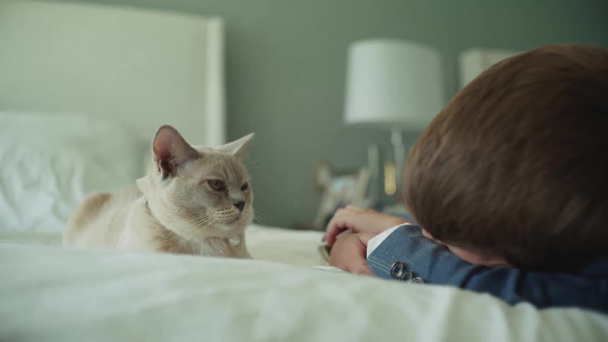 A formally dressed young boy and his pet cat share a quiet, affectionate moment together on a bed