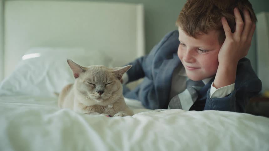A dapper young boy wearing a suit and tie gently pets his sleepy cat on a soft white bed