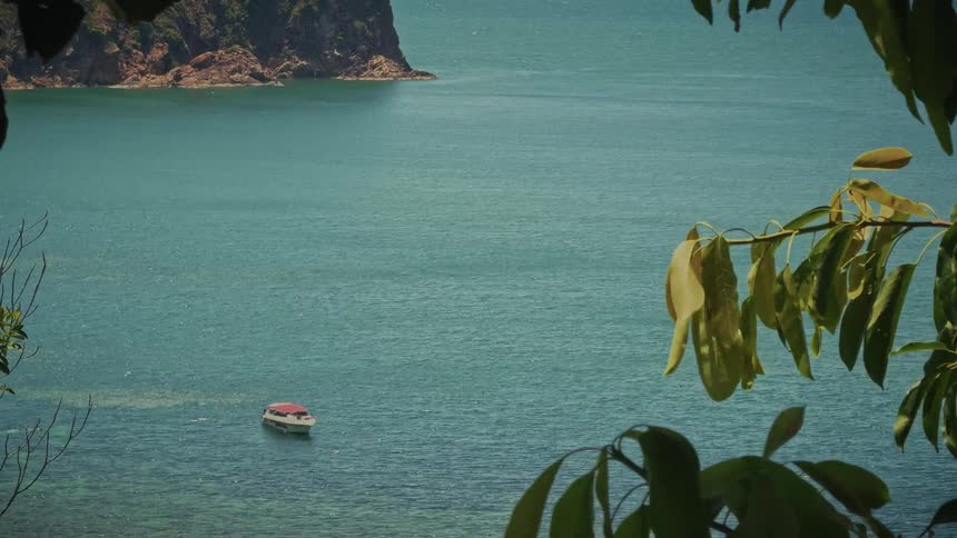 A small tour boat floats peacefully on calm turquoise waters near a tropical island, viewed through a frame of lush green jungle leaves