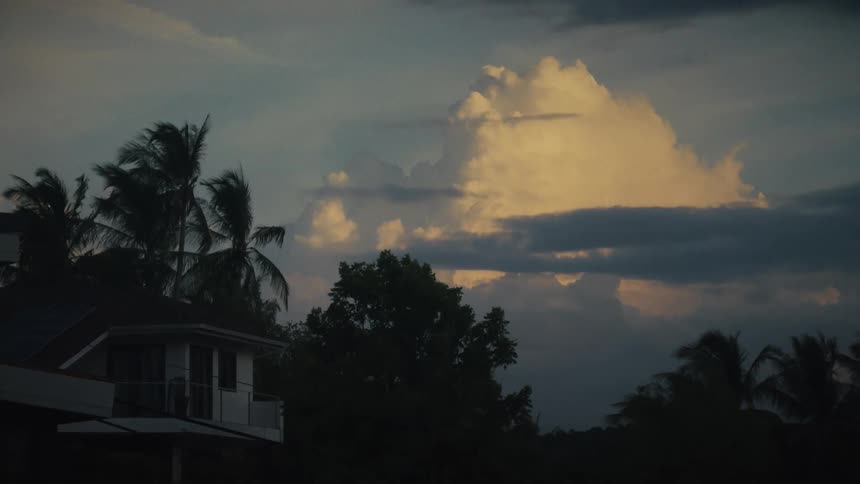 Dramatic sunset clouds glow above a silhouetted house and swaying palm trees on a windy evening