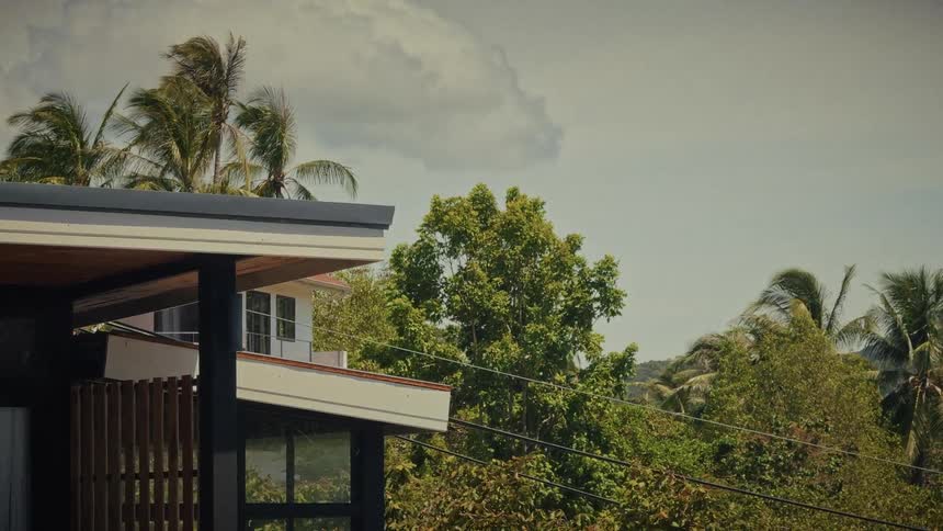 A modern house balcony overlooks lush tropical trees and palm trees swaying in the wind on a partly cloudy day
