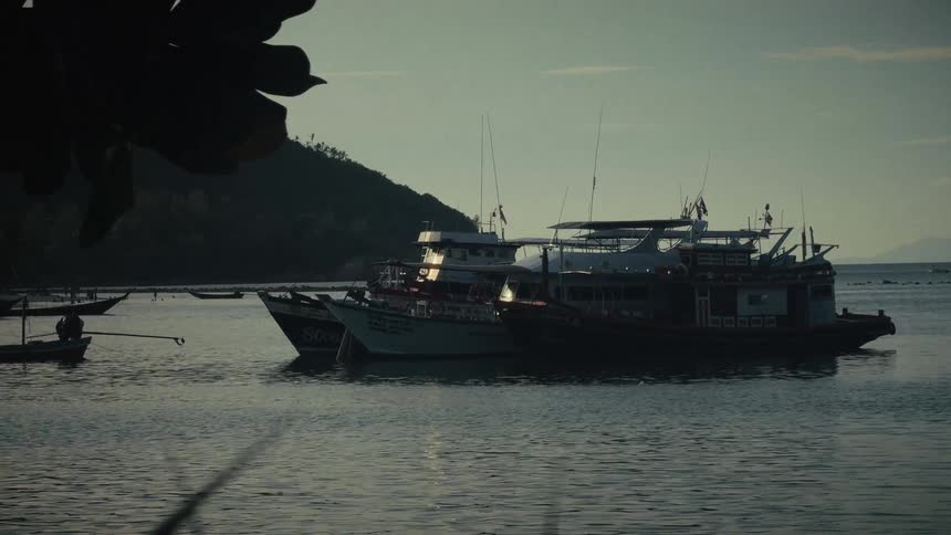 Fishing boats anchored in a tranquil bay at dusk with a lush green island in the background